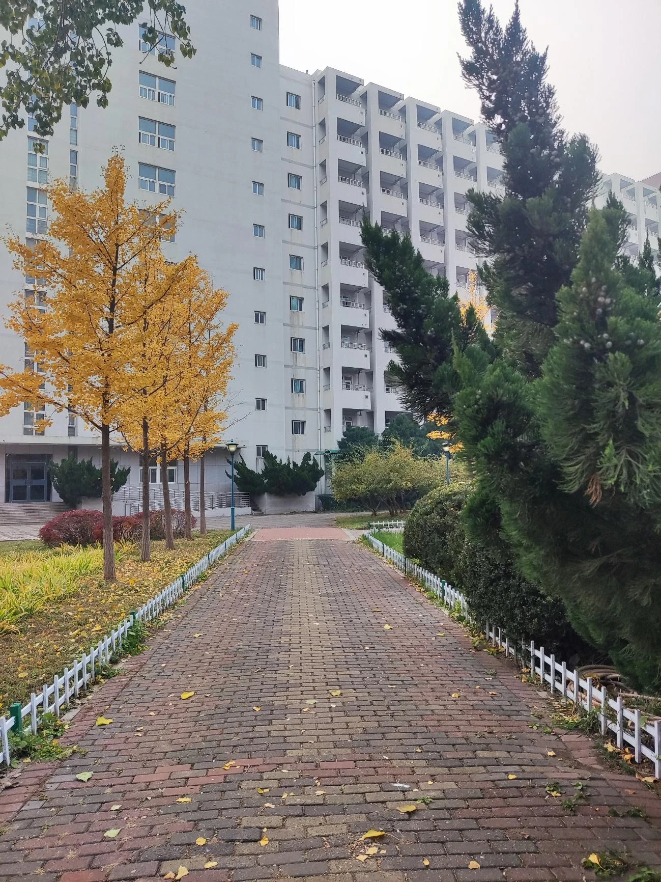 中国人民大学校园 图2