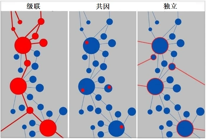 图1 系统性网络风险的类型