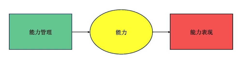 图2 组织能力关系模型